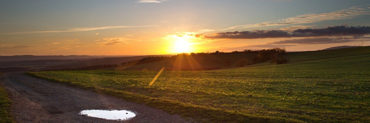 Sonnenuntergang mit einer Wiese und einem Feldweg.
