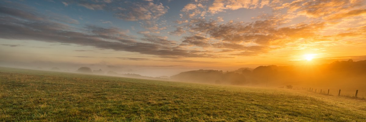 Eine grüne Wiese mit Sonnenuntergang Eine grüne Wiese mit Sonnenuntergang