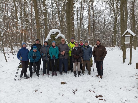 Nordic Walking Logo